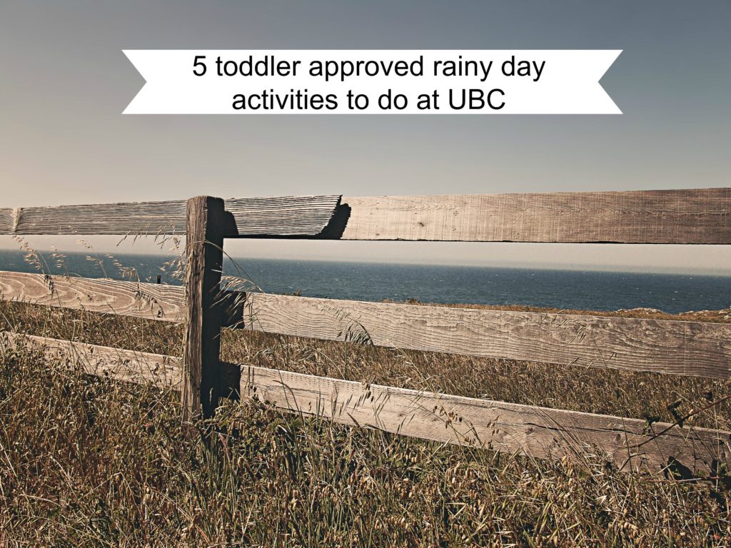 5 toddler approved rainy day activities to do at UBC